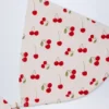 Calella Charm-Detail Triangle Bikini Top in Cherry Print Calella Charm-Detail Triangle Bikini Top in Cherry Print